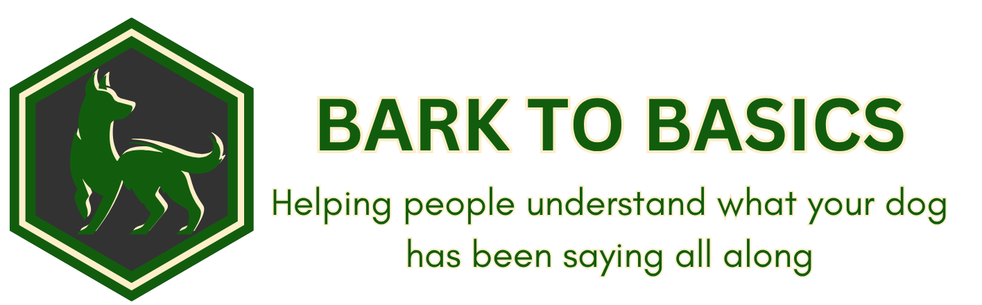 Bark To Basics
