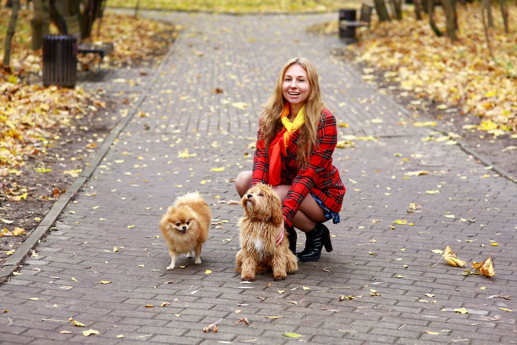 Happy woman in plaid jacket with dogs enjoying a walk in a serene autumn park.